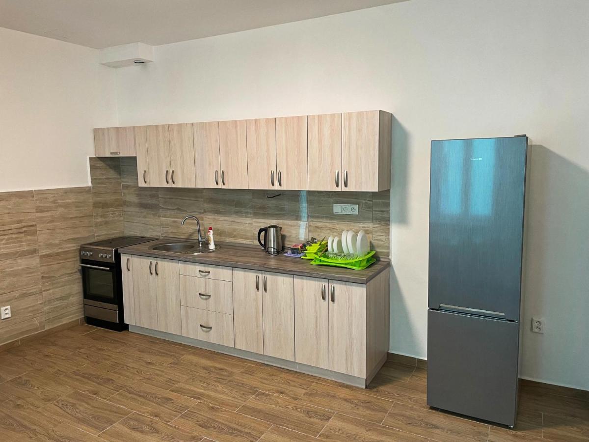 Grand Apartments In The Centre Of Teplice Bagian luar foto
