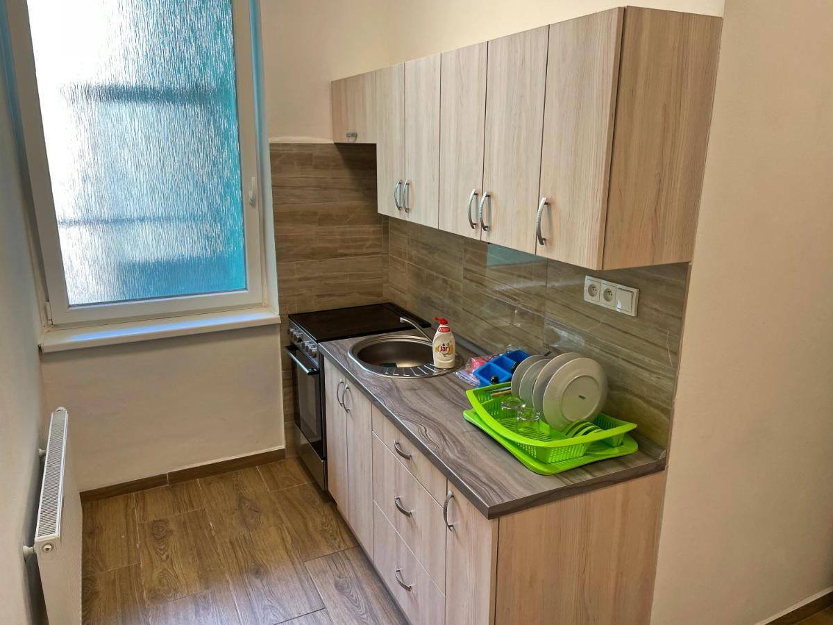 Grand Apartments In The Centre Of Teplice Bagian luar foto